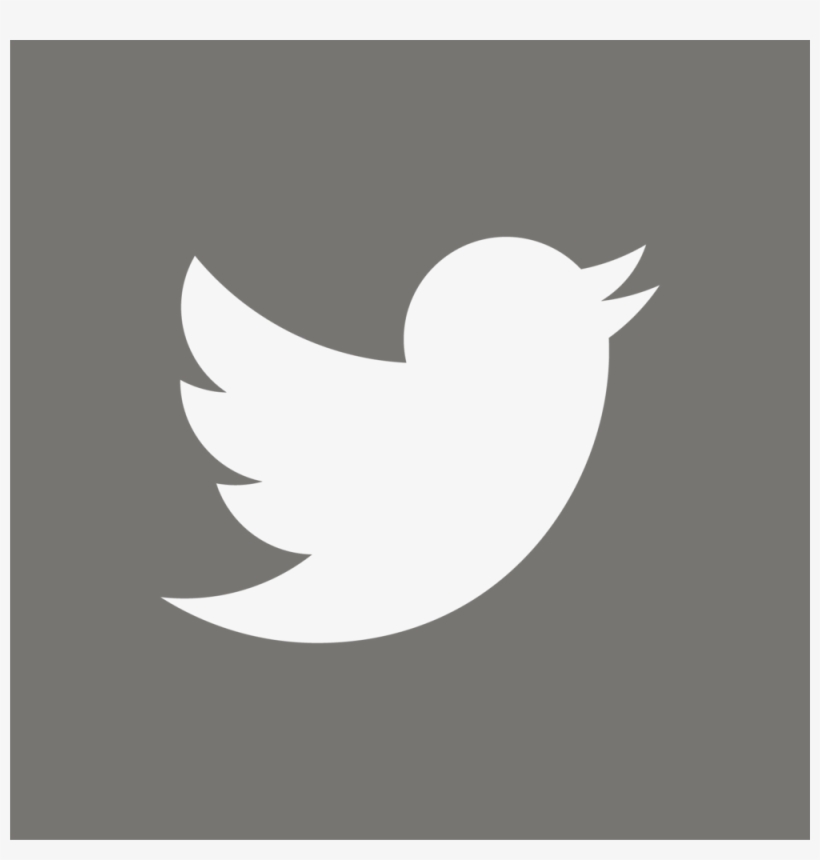 logo twitter