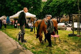 évènement transport 13 juin 19 Champigny-sur-Marne- chevaux ferme équestre Lésigny